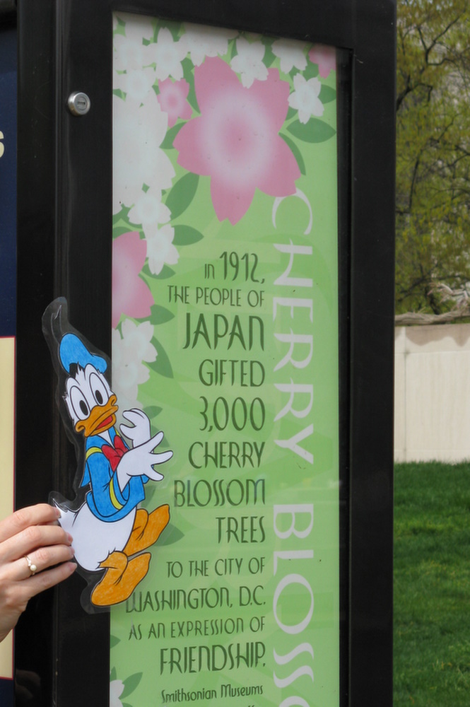 National Cherry Blossom Festival - Poster