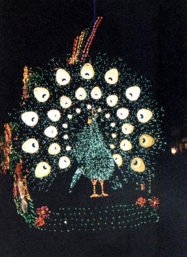NBC logo at WDW?