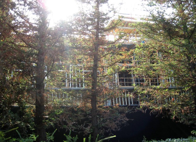 New DVC from front path