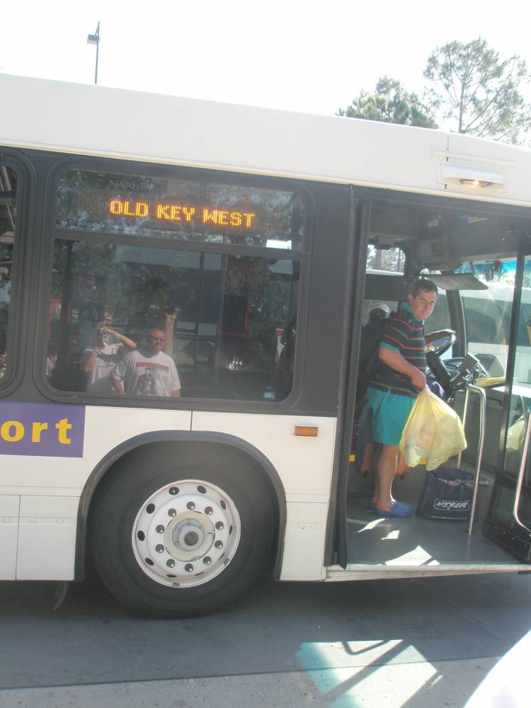 newer WDW bus