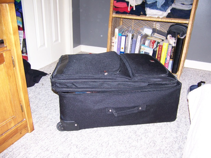 nic_suitcase_2