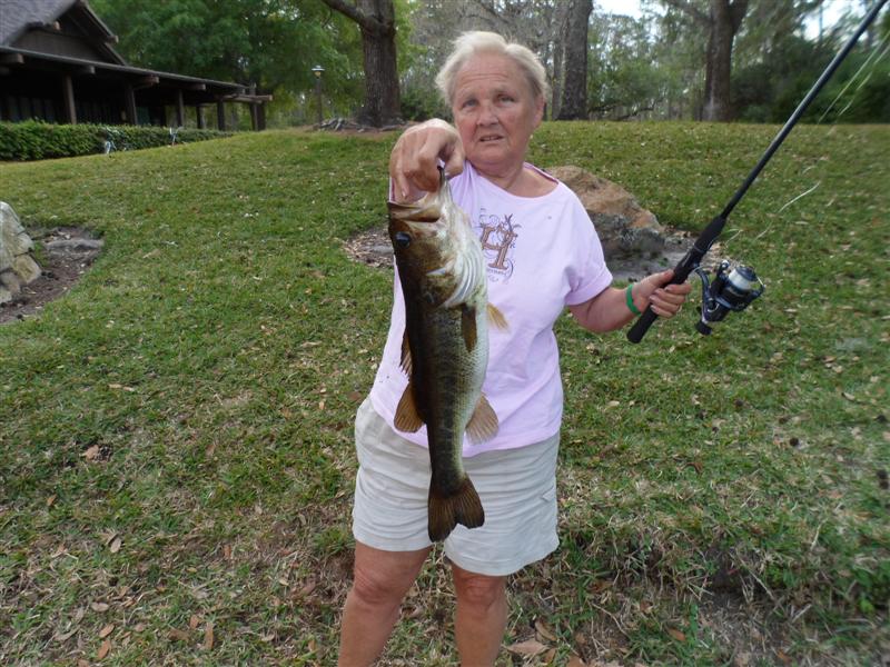 Nice Bass