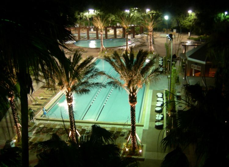 Night view from 6th floor Dolphin room