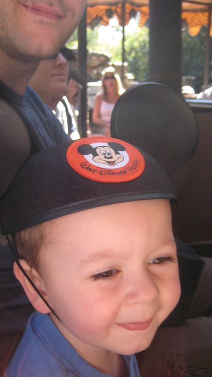 nippert/disney09