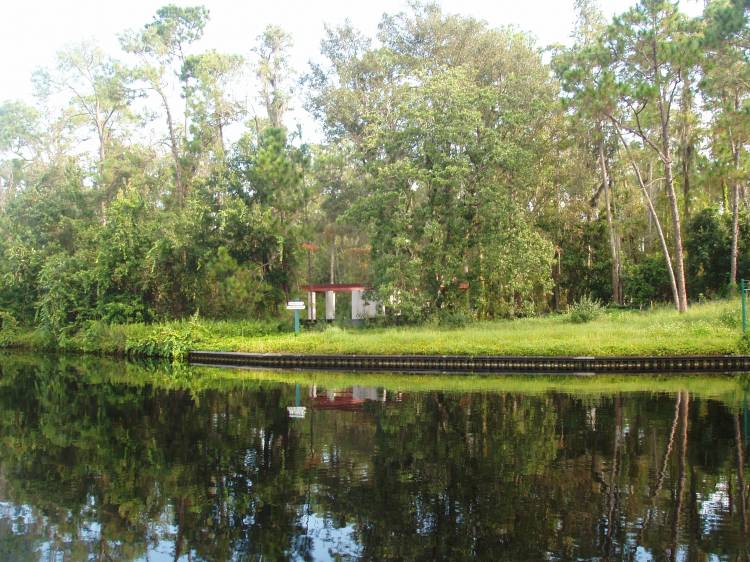 OKW Walkway - Treehouse Villas