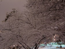 Omaha Snow