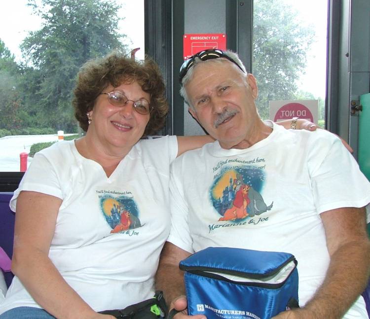 ON BOARD THE DVC CRUISE