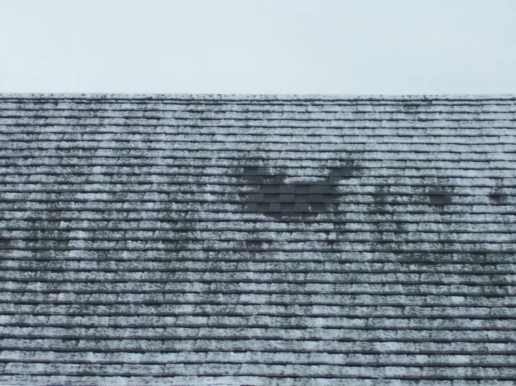 On My Roof - do you see it?