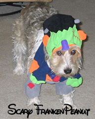 Oooh.... scary!
