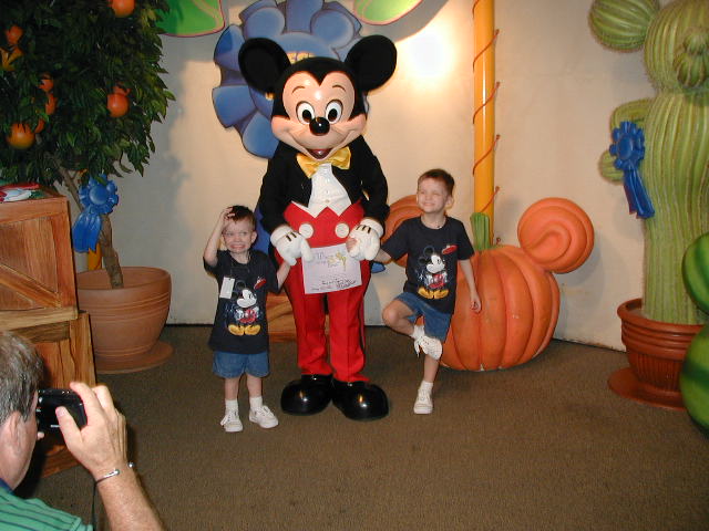 Opening MTTF 2003