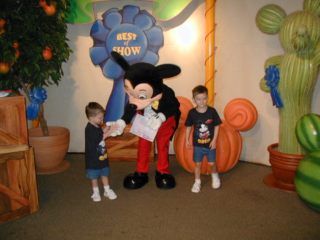 Opening MTTF 2003