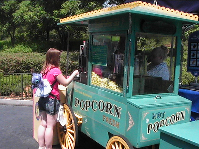 Ordering my first Magic Kingdom popcorn