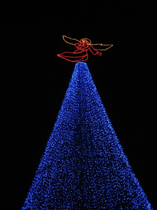 Osborne Lights tree