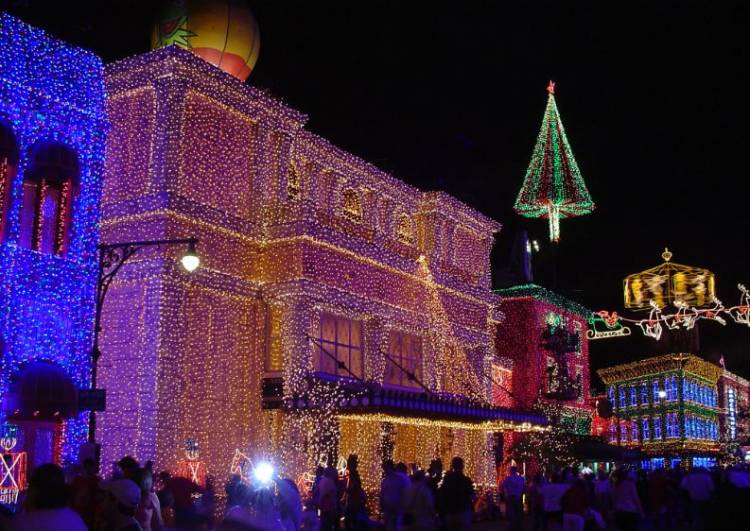 Osborne Lights