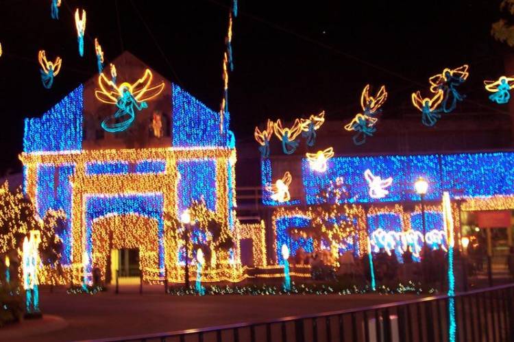 Osborne Lights