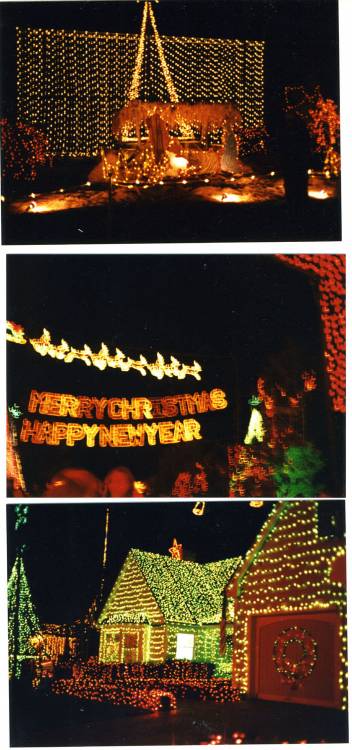 Osborne_Lights_1995