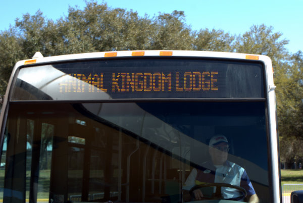 Our bus