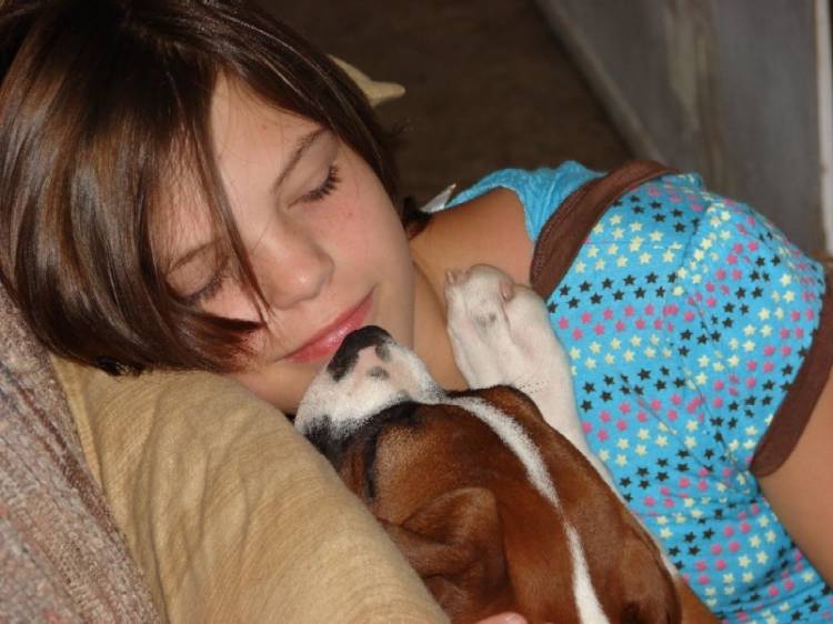 Our DD12 (and puppy love)