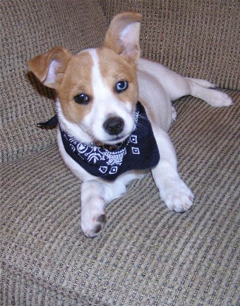our new baby!