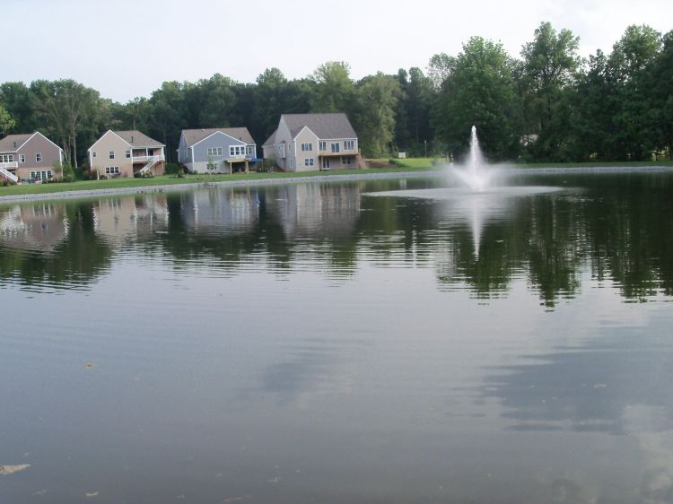 OUR_POND_003