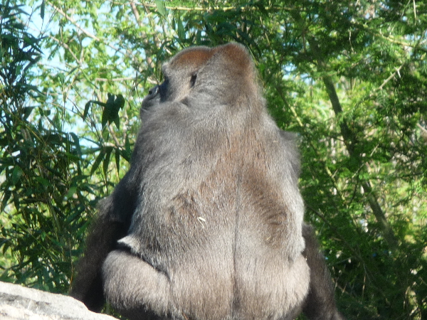 P1000550