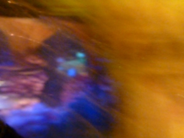 P1010943_600_x_450_
