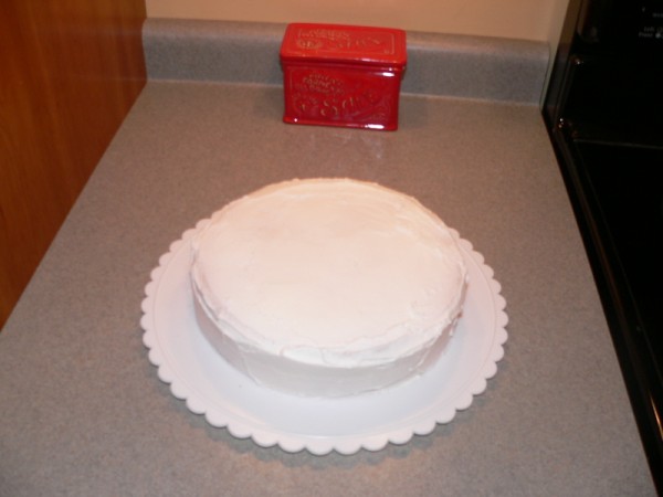 P1050445_600_x_450_3