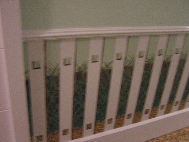 painted walls