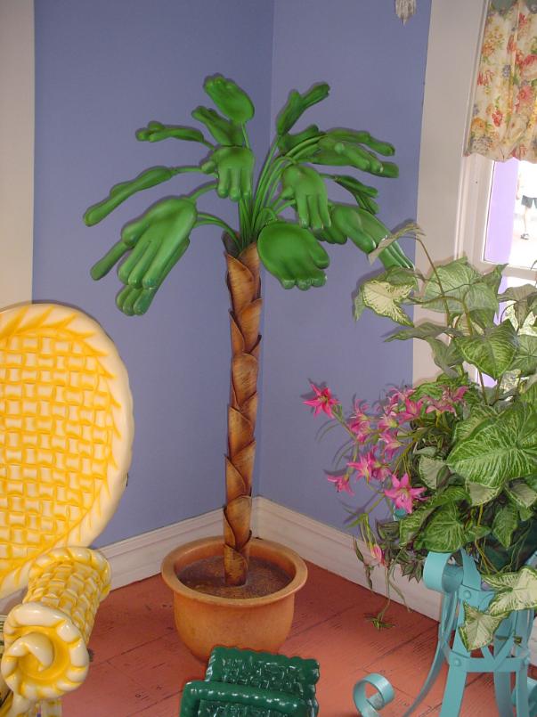 Palm Tree