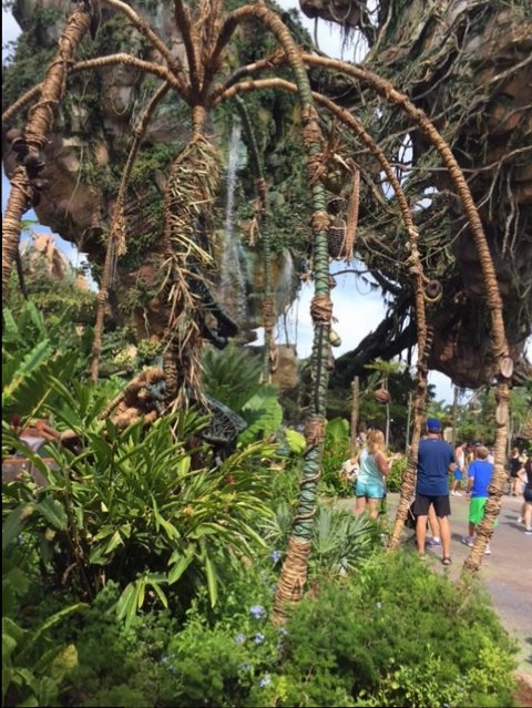 Pandora 5 - AK 09-05-2017