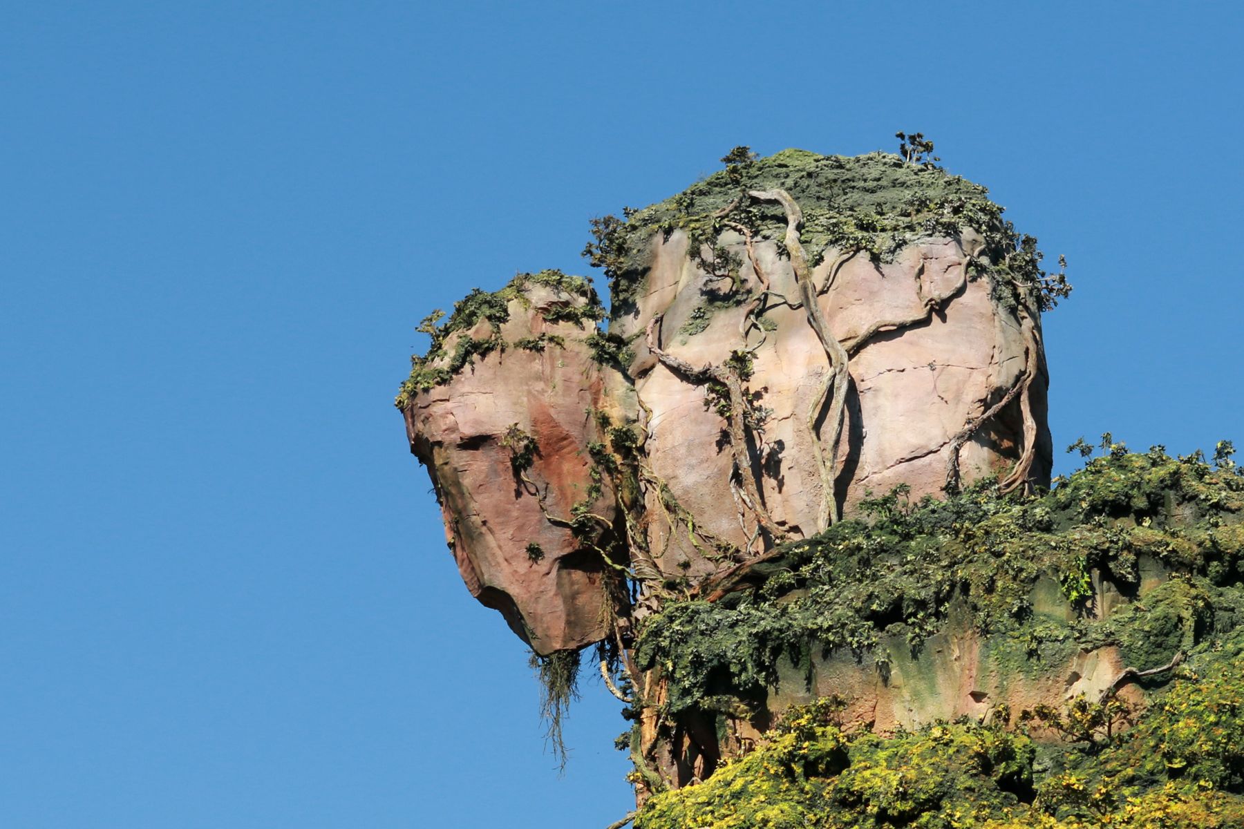 Pandora - Floating mountain crop