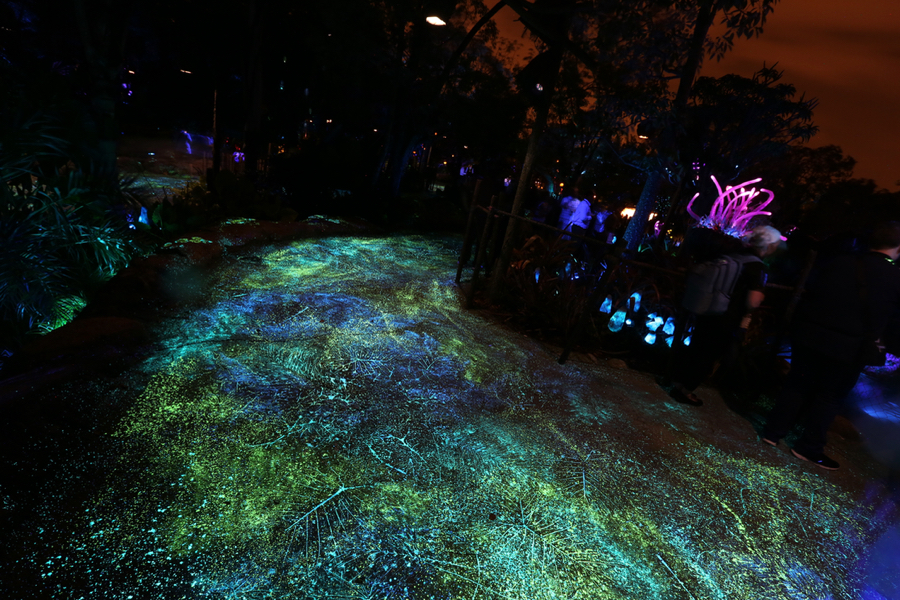 Pandora-Night-012