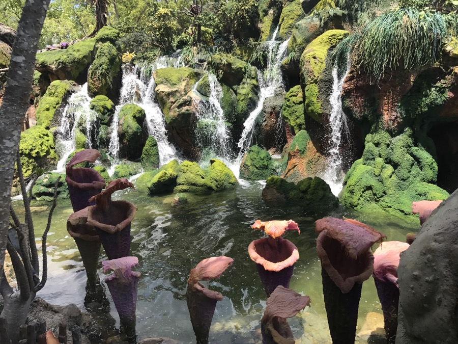 Pandora-World-of-AVATAR-029