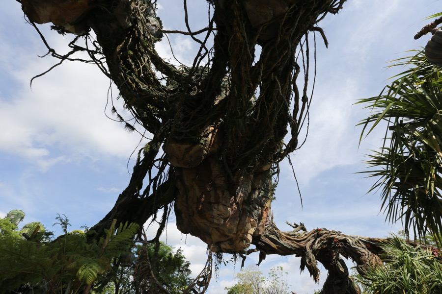 Pandora-World-of-AVATAR-038