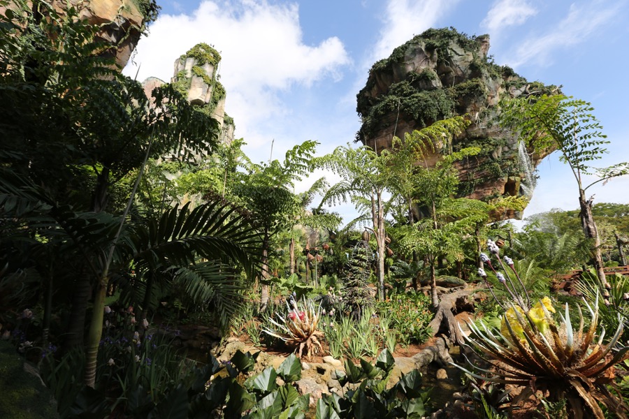 Pandora-World-of-AVATAR-042