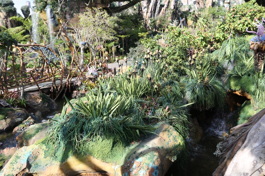 Pandora-World-of-AVATAR-067