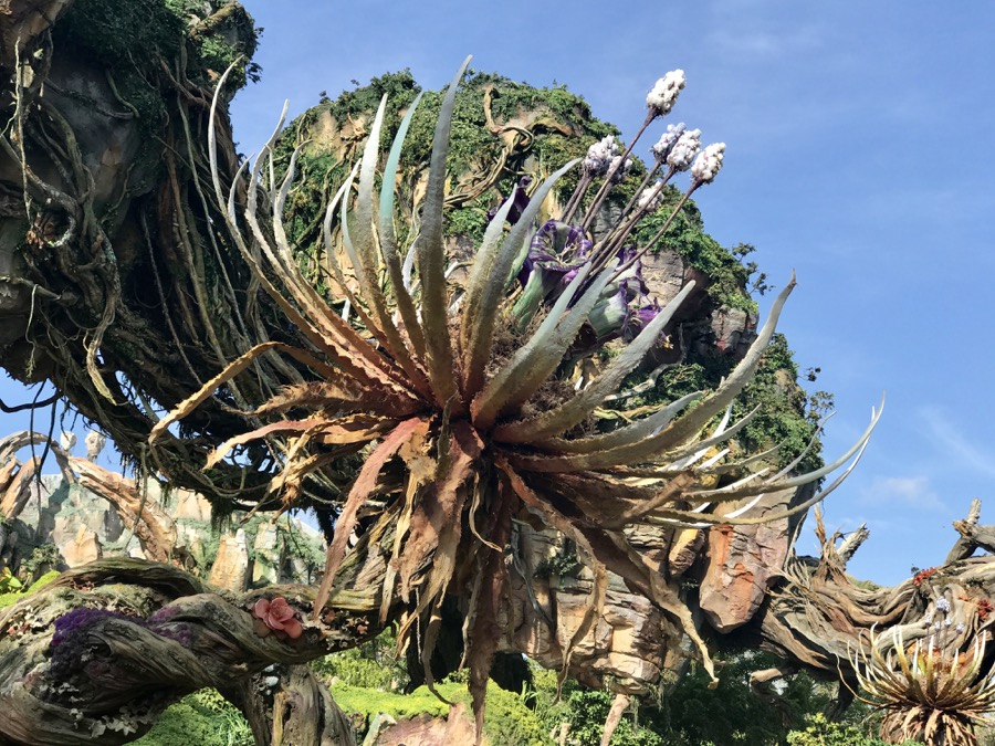 Pandora-World-of-AVATAR-073