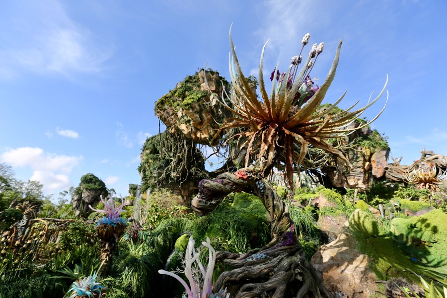 Pandora-World-of-AVATAR-074