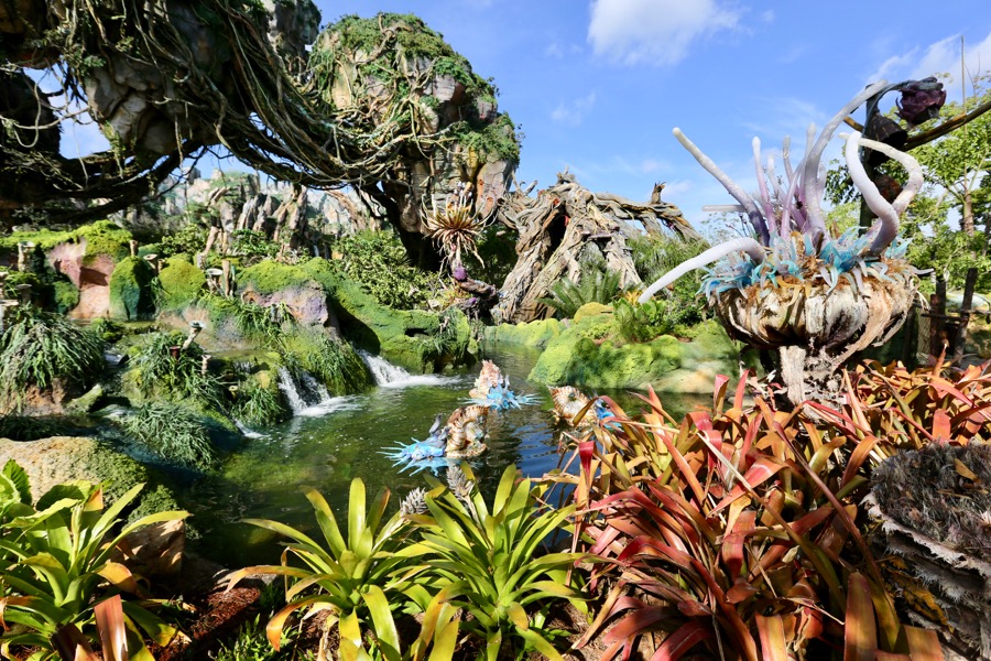 Pandora - The World of Avatar in Disney World's Animal Kingdom