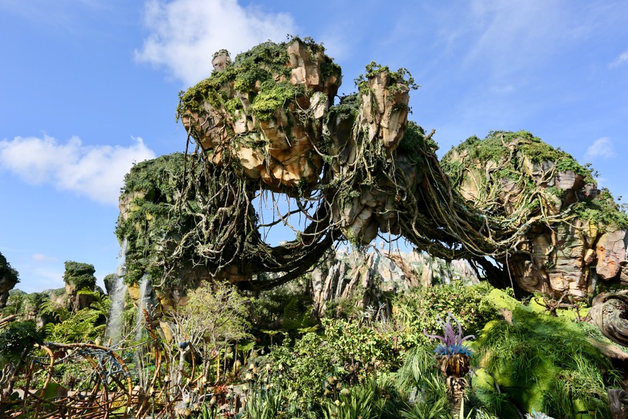 Avatar Maker at Disney Pandora World of Avatar -Toddler Becomes a Navi  Action Figure! 