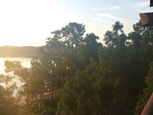 panorama_5
