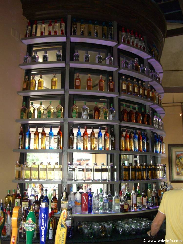 paradiso_37_tequilla_bar_wall