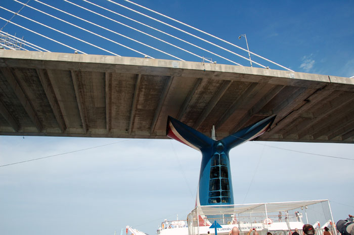 Passing under the Jacksonville Bridge