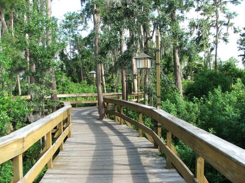 path to boat launch