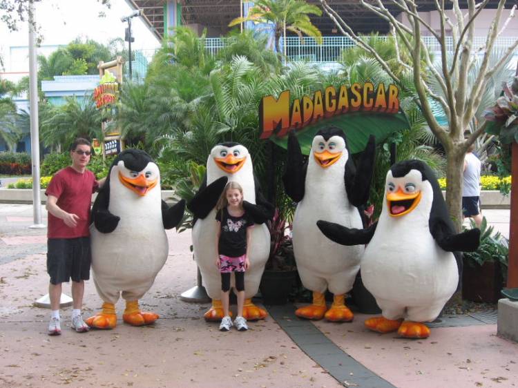 penguins