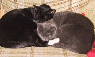 Pepper & Smokey