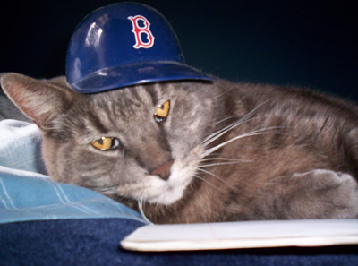 Pepsi Sox