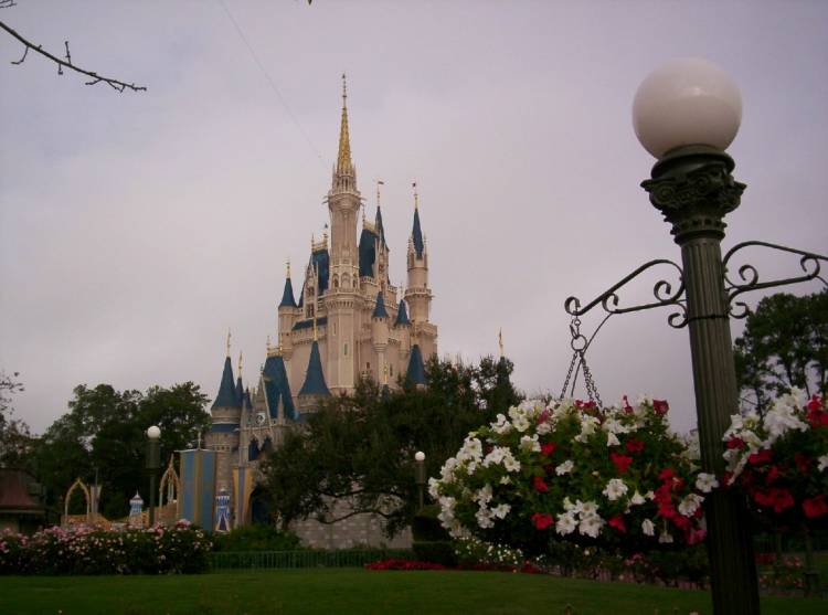 Perfect Wedding Spot