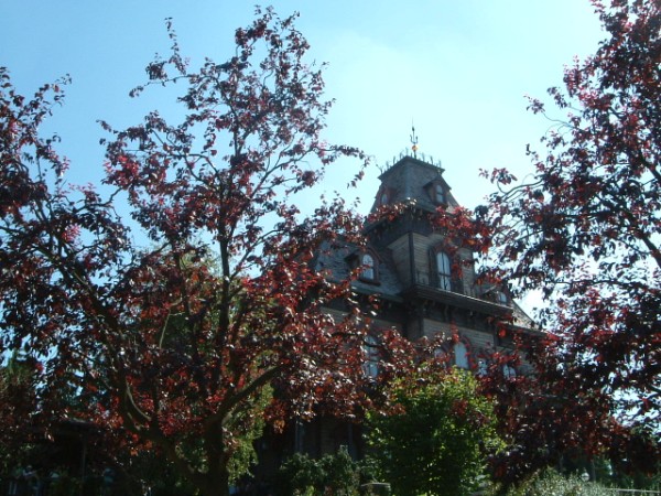 Phantom Manor