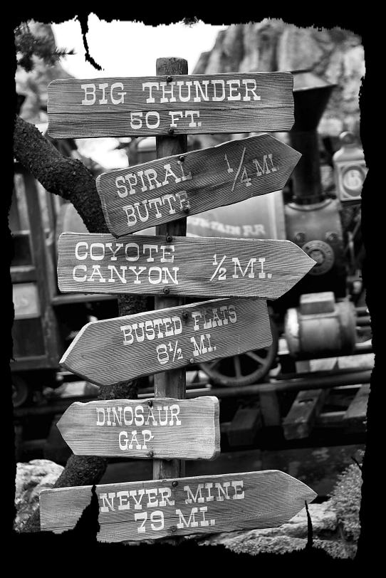 Photo Contest B & W